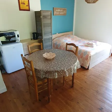 Le Studio De Rochavelle Apartment