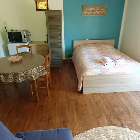 Le Studio De Rochavelle Apartment