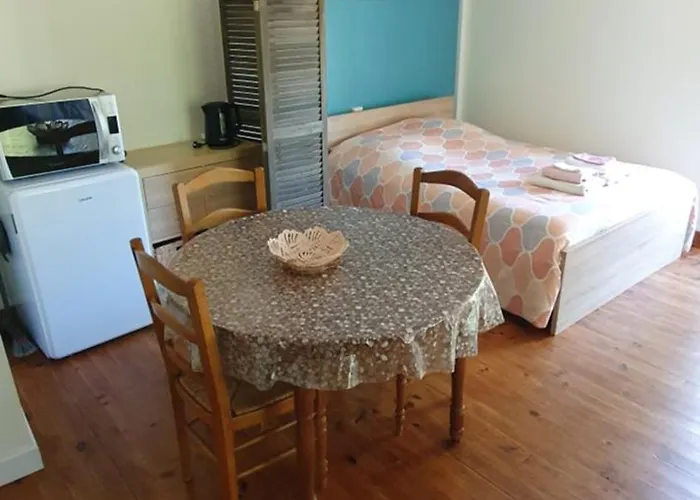 Le Studio De Rochavelle Appartement